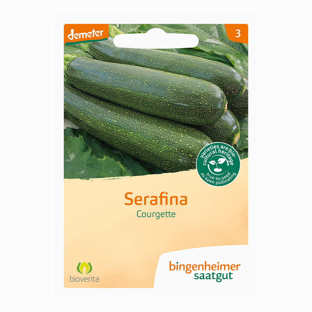 Zucchini Serafina - Bingenheimer Saatgut (BIO)