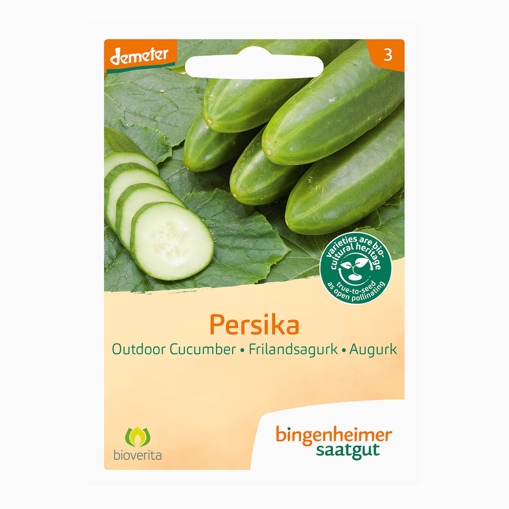 Gurke Persika - Bingenheimer Saatgut (BIO)