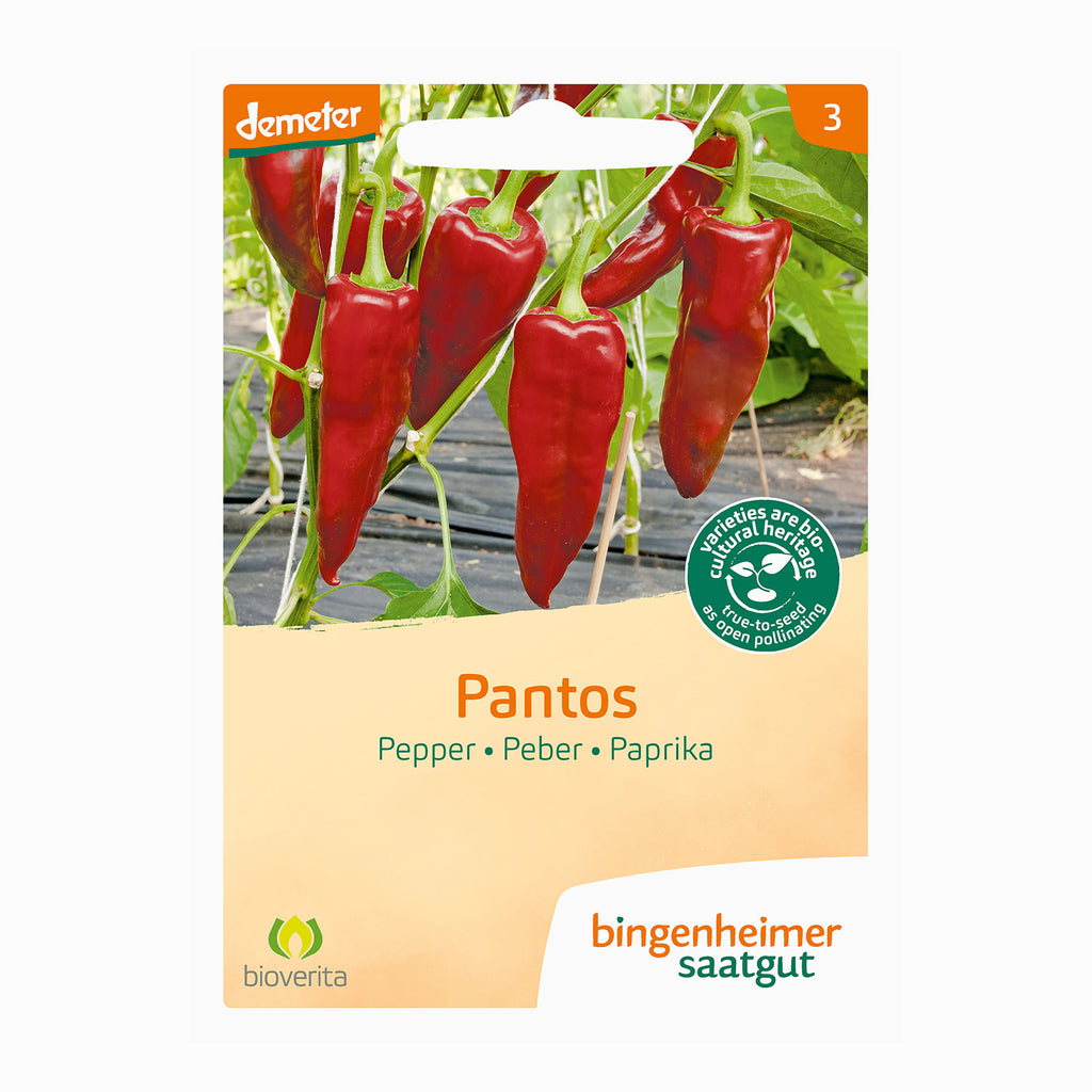 Chili Pantos - Bingenheimer Saatgut (BIO)