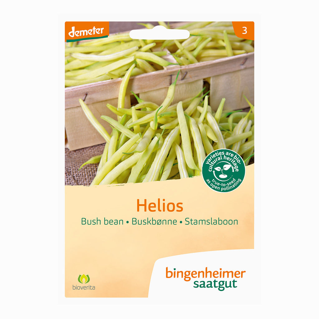 Buschbohne Helios - Bingenheimer Saatgut (BIO) | Gemsegartenshop