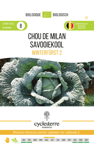 Savooiekool 'Winterfürst 2'