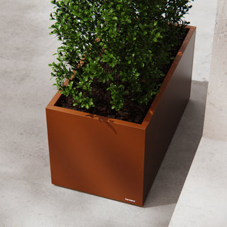 Gemüsegartenkasten Corten 50