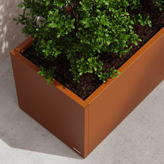 Gemüsegartenkasten Corten 50