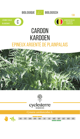 Kardoen 'Zilverachtig en Doornig'
