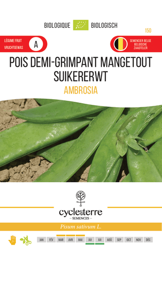 Halve klimpeul Ambrosia