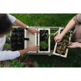 GROWbench Pflanztische