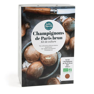Bruine Champignons BIO