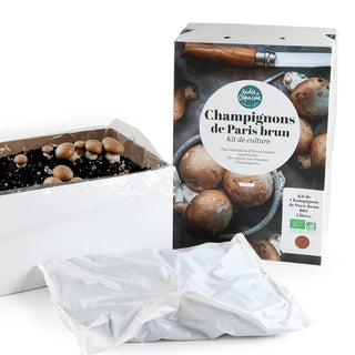 Braune Champignons BIO