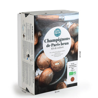 Braune Champignons BIO
