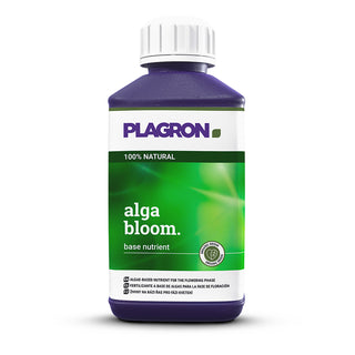 Alga Bloom