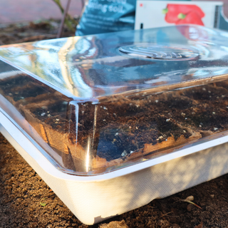 Eco Hochbeet (inkl. 30 Torftöpfchen)