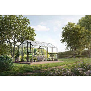 KGT Aptasia Greenhouse Kas Serre