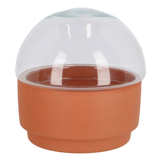Keimschale Terrakotta/Glas