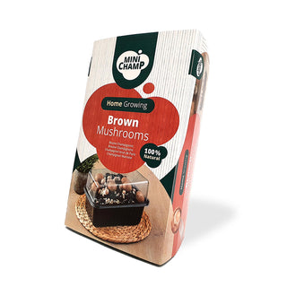 Kastanjechampignons BIO