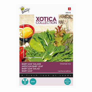 Xotica Salade mix 'Oriental Mix'