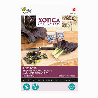 Xotica Tatsoi Rood