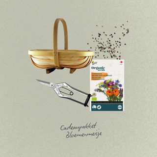 Das Blumenmädchen - Ein Blümchen