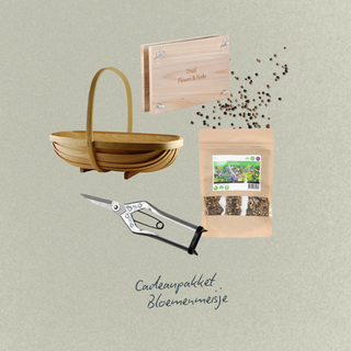 Das Blumenmädchen - Ein Sträußchen Glück