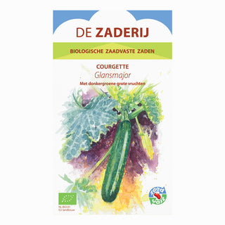 Courgette 'Glansmajor' De Zaderij