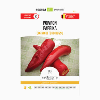 Paprika 'Corno di Toro Rosso'