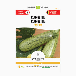 Cougette 'Caserta'