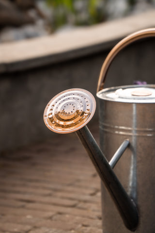 Gießkanne Metall 9L Zink