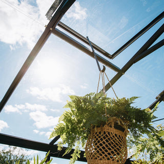 Luxia Retro auf niedriger Mauer