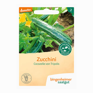 Courgette Cocozelle von Tripolis