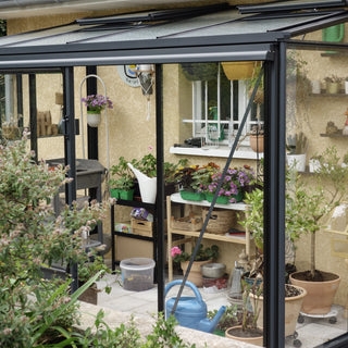 Luxia Anlehngewächshaus