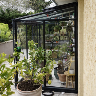 Luxia Anlehngewächshaus