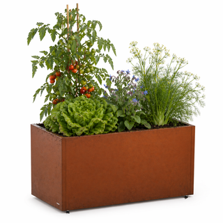 Gemüsegartenkasten Corten 50