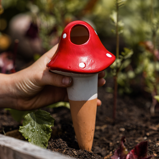 Bewässerungsspender Pilz