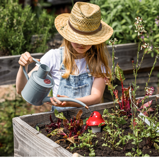 Bewässerungsspender Pilz