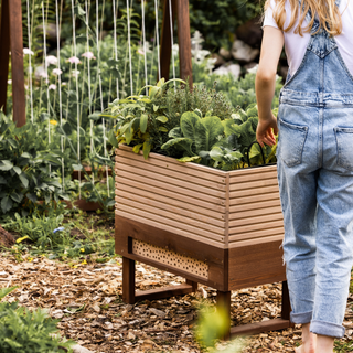 Anzuchttisch + Insektenhotel M