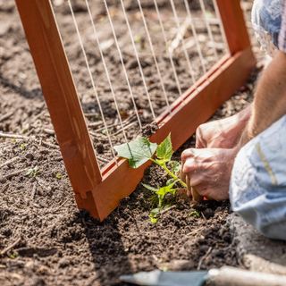 Klappbares Pflanzenrankgitter