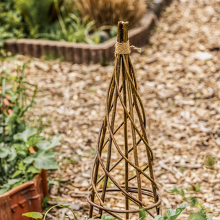 Pflanzenstütze Weide Offen (Set von 3)