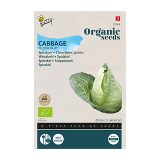 Spitzkohl 'Filderkraut'