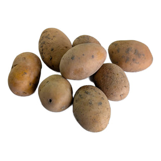 Peter Pan BIO Saatkartoffel 1 kg