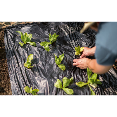 Bio Mulchfolie op Rol Stocker