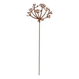 Tuinsteker Fluitenkruid