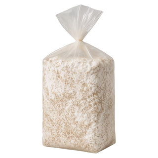 Koningoesterzwam BIO