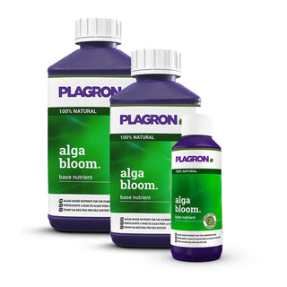 Alga Bloom