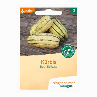 Kürbis  'Bush Delicata'
