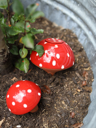 Olla Pilz 'Zwam'
