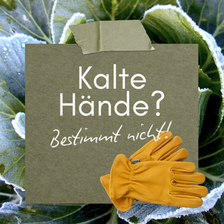 DE menu promotie 9