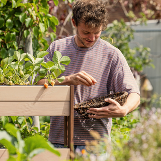 Terrasse Gemüsegarten Groß