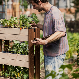 Terrasse Gemüsegarten Groß