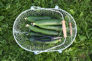 Artisan Gartenschere