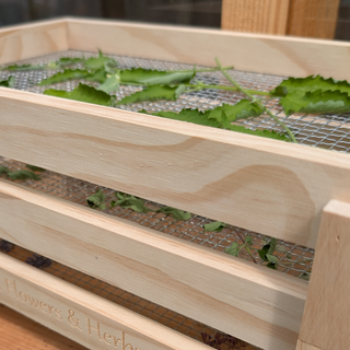 Blumen- und Kräutertrockengitter