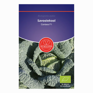 De Bolster Savooiekool 'Cantasa F1' 1521